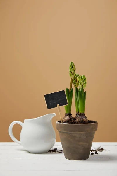 Hyacint Klei Bloempot Met Witte Kruik Tafel Met Kopie Ruimte — Stockfoto