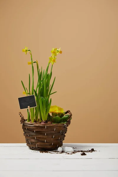 Gelbe Narzissen Geflochtenen Blumentopf Auf Weißem Tisch — Stockfoto