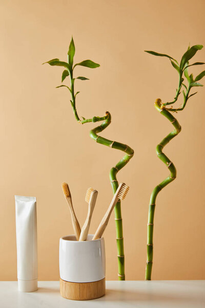 toothpaste in tube, toothbrushes in holder on table and green bamboo on beige background