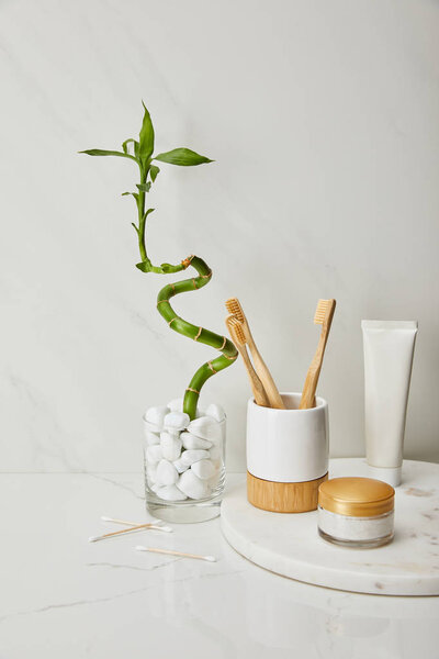 bamboo toothbrushes in holder, cosmetic cream and toothpaste in tube on round board near green bamboo stem in vase on white marble background