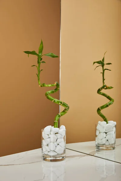 Green Bamboo Stem Vase Stones Mirror White Marble Table Beige — Stock Photo, Image