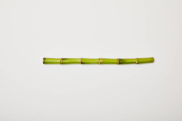 top view of green bamboo stem on white background