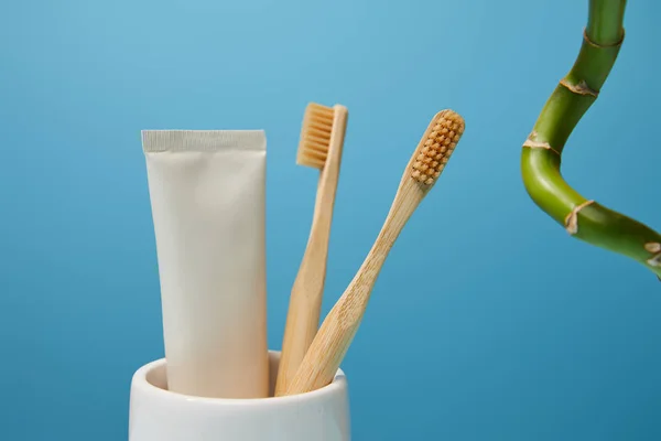 holder with bamboo toothbrushes, toothpaste in tube and bamboo stem on blue background