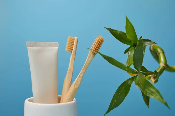 青の背景に竹の歯ブラシ ホルダー 歯磨き粉チューブと竹の幹します — ストック写真