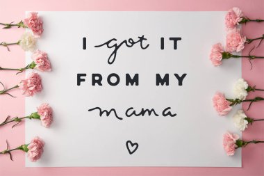 top view of beautiful pink and white carnation flowers and greeting card with i got it from my mama lettering on pink background clipart