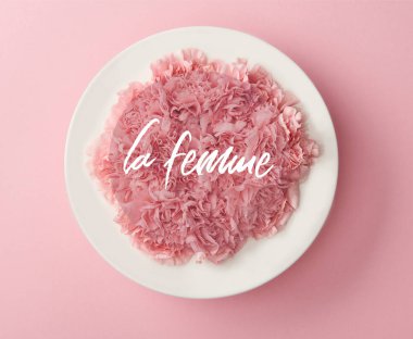 la femme yazı ile pembe arka plan üzerinde beyaz tabak içinde pembe karanfil çiçek Üstten Görünüm