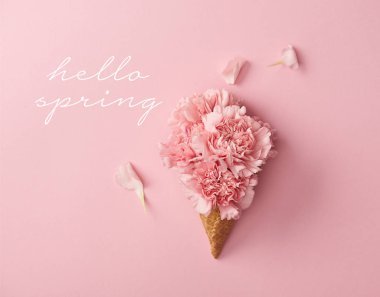 Merhaba bahar çizim ile pembe arka plan üzerinde pembe karanfil çiçek Üstten Görünüm