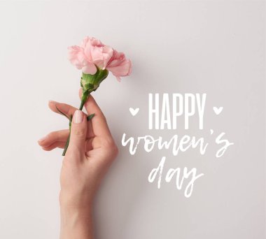 partial view of woman holding pink carnation on grey background with happy womens day lettering clipart