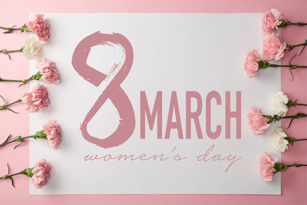 Верхний вид красивых розовых и белых гвоздик цветы и 8 марта поздравительная открытка на розовом фоне
