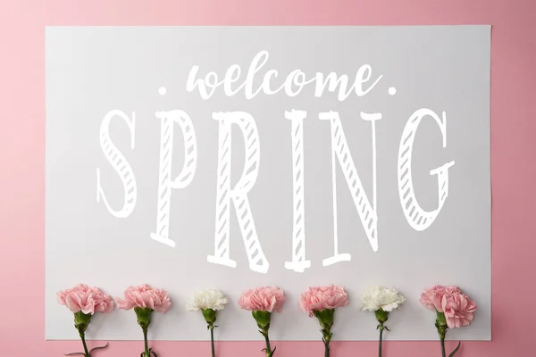 ピンクと白のカーネーションの花とピンクの背景にようこそ春レタリングとカードのトップ ビュー — ストック写真