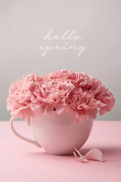 Carnation Roze Bloemen Cup Grijze Achtergrond Met Hello Spring Belettering — Stockfoto