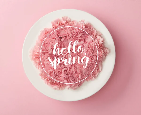 top view of pink carnation flowers in white plate on pink background with hello spring lettering