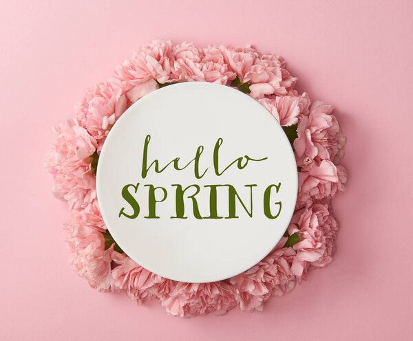 top view of white plate with hello spring lettering and wreath of pink carnations on pink background