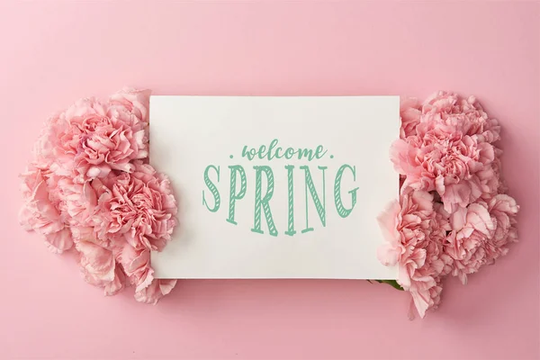 Top View Greeting Card Welcome Spring Lettering Pink Carnations Pink — Stock Photo, Image