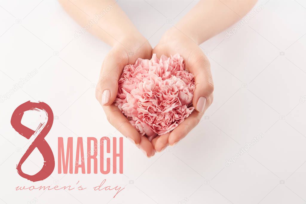 partial view of female hands with pink carnations and 8 march illustration