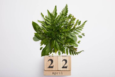 composition of fresh green fern leaves and wooden blocks calendar isolated on grey background, earth day concept clipart
