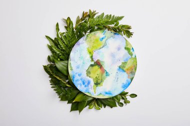 composition of fresh green fern leaves and planet picture isolated on grey background, earth day concept clipart