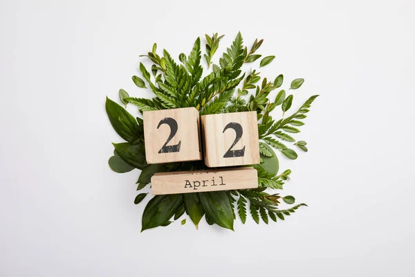 在灰色背景上隔离的新鲜绿色蕨类植物叶子和木块日历的组成 地球日概念 — 图库照片