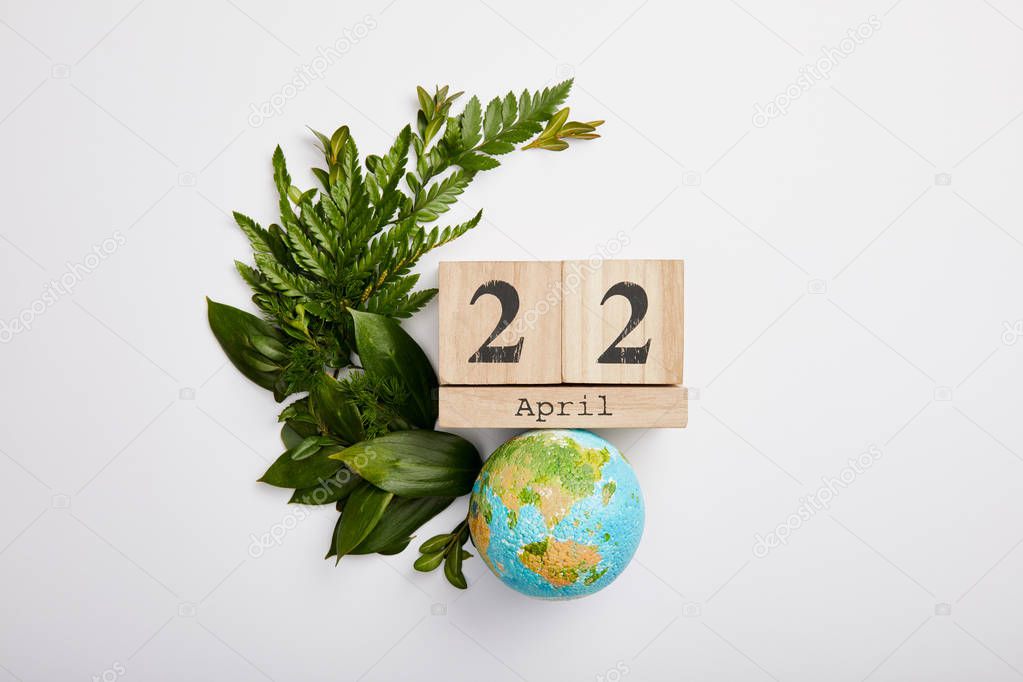 composition of fresh green fern leaves and wooden blocks calendar isolated on grey background, earth day concept