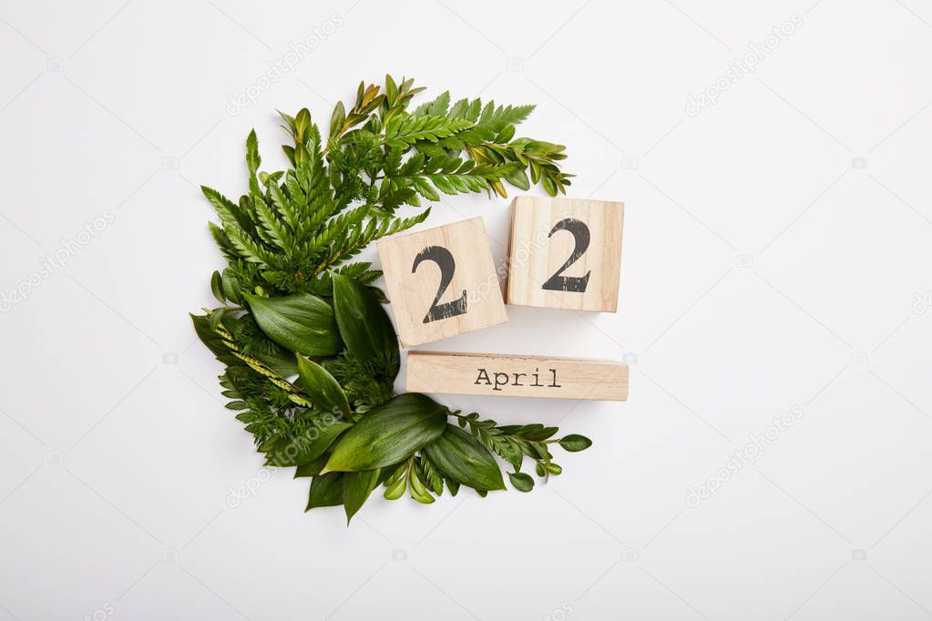 composition of fresh green fern leaves and wooden blocks calendar isolated on grey background, earth day concept