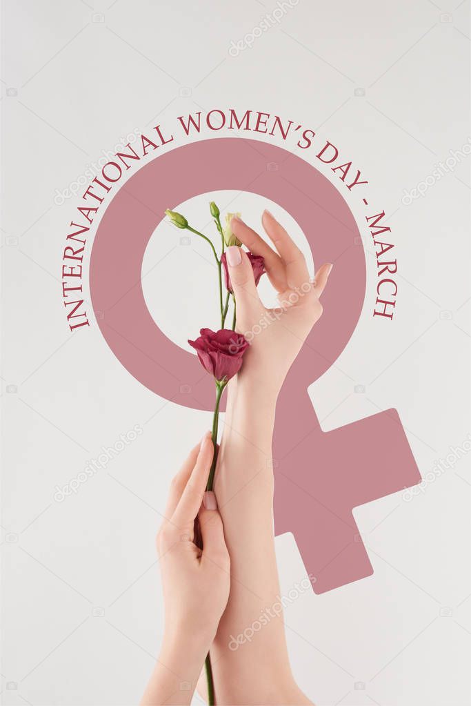 partial view of female hands with purple flowers on white background with international womens day illustration