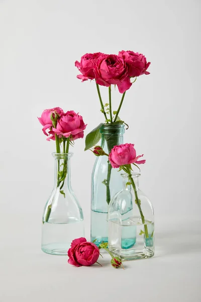 fresh pink roses in transparent bottles on white background