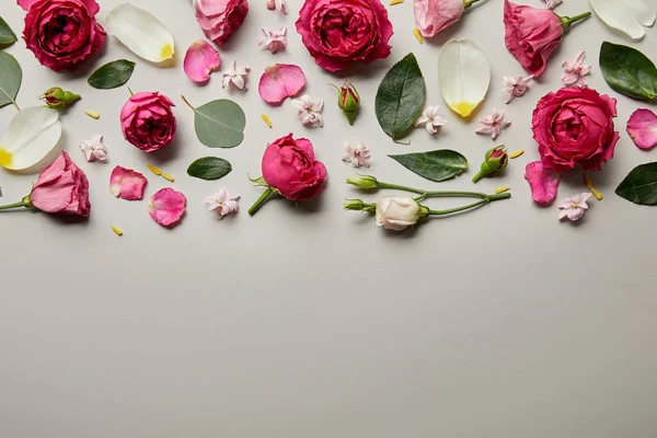 Top View Pink Roses Leaves Buds Petals Isolated Grey Copy — Stock Photo, Image