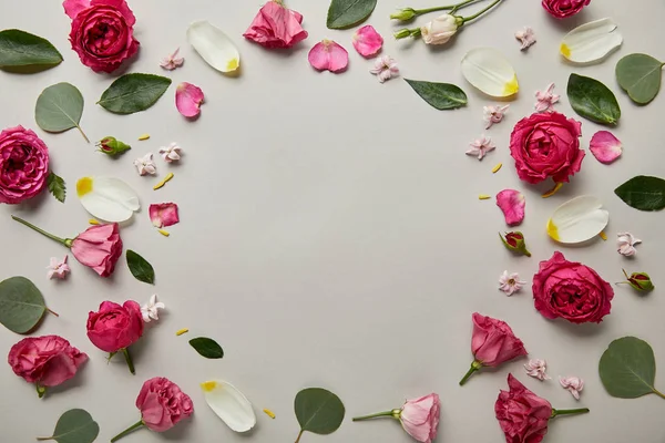 Draufsicht Auf Runden Blumenrahmen Aus Rosa Rosen Und Blütenblättern Mit — Stockfoto