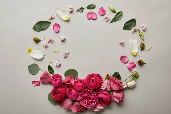 Вид Зверху Круглої Квіткової Рамки Рожевих Троянд Пелюсток Копією Простору — стокове фото