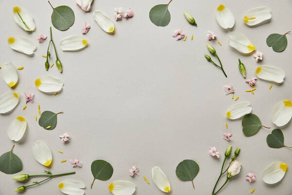top view of round floral frame made of petals and leaves with copy space isolated on grey