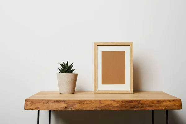 Groene Plant Buurt Van Frame Houten Tafel Thuis — Stockfoto