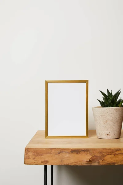 Moldura Decorativa Perto Planta Verde Vaso Casa — Fotografia de Stock