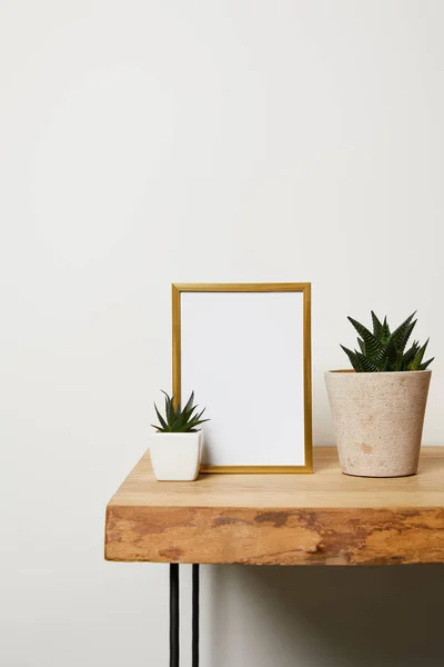 Decorative Frame Green Plants Pots Home — Stock Photo, Image