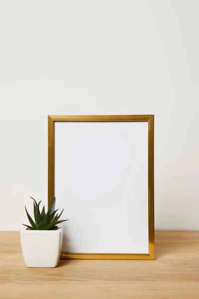 Decorative Frame Green Cactus Pot Home — Stock Photo, Image