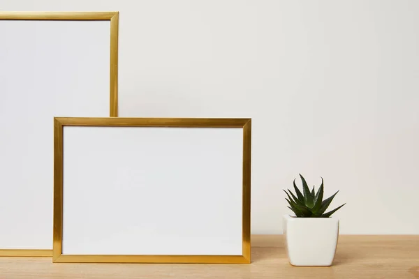 Blank Frames Cactus Wooden Table Home — Stock Photo, Image