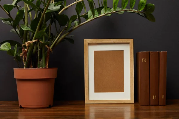 Planta Verde Maceta Cerca Libros Marco Blanco — Foto de Stock