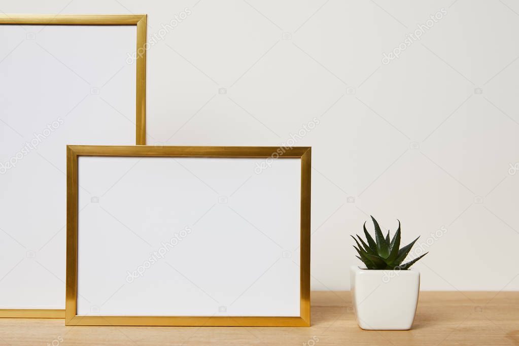 blank frames near cactus on wooden table at home