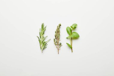 Top view of rosemary, thyme and mint on white background clipart