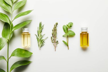 Top view of bottles with essential oil and green herbs on white background clipart