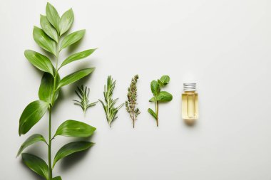 Top view of essential oil and green herbs on white background clipart