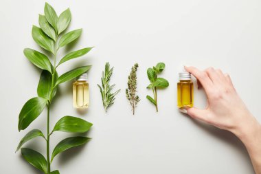 Partial view of woman holding bottle with essential oil on white background clipart