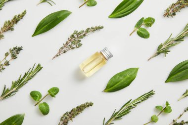 Flat lay with essential oil and fresh herbs on grey background clipart