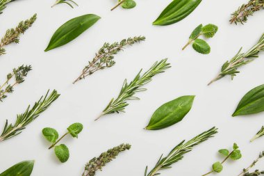 Flat lay with mint, rosemary and thyme on grey background clipart