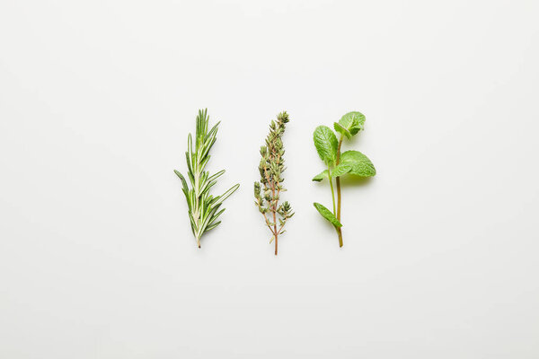 Top view of rosemary, thyme and mint on white background