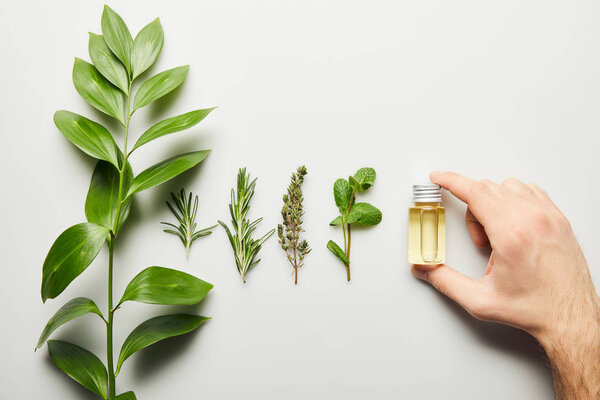 Cropped view of man holding bottle of essential oil on white background