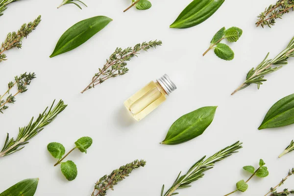 Flat Lay Essential Oil Fresh Herbs Grey Background — Stock Photo, Image