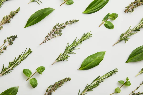 Flat lay with mint, rosemary and thyme on grey background