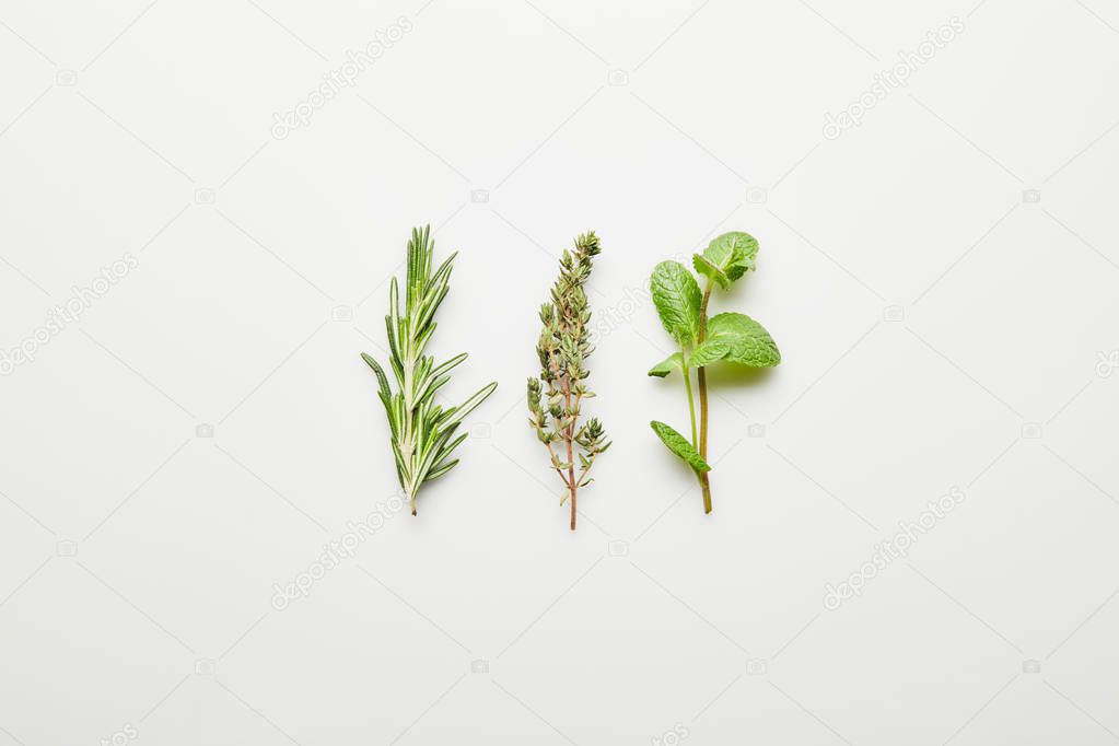 Top view of rosemary, thyme and mint on white background