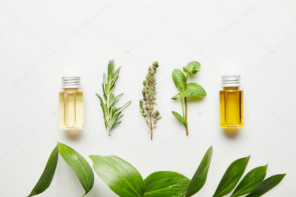 Top view of bottles with essential oil and herbs on white background