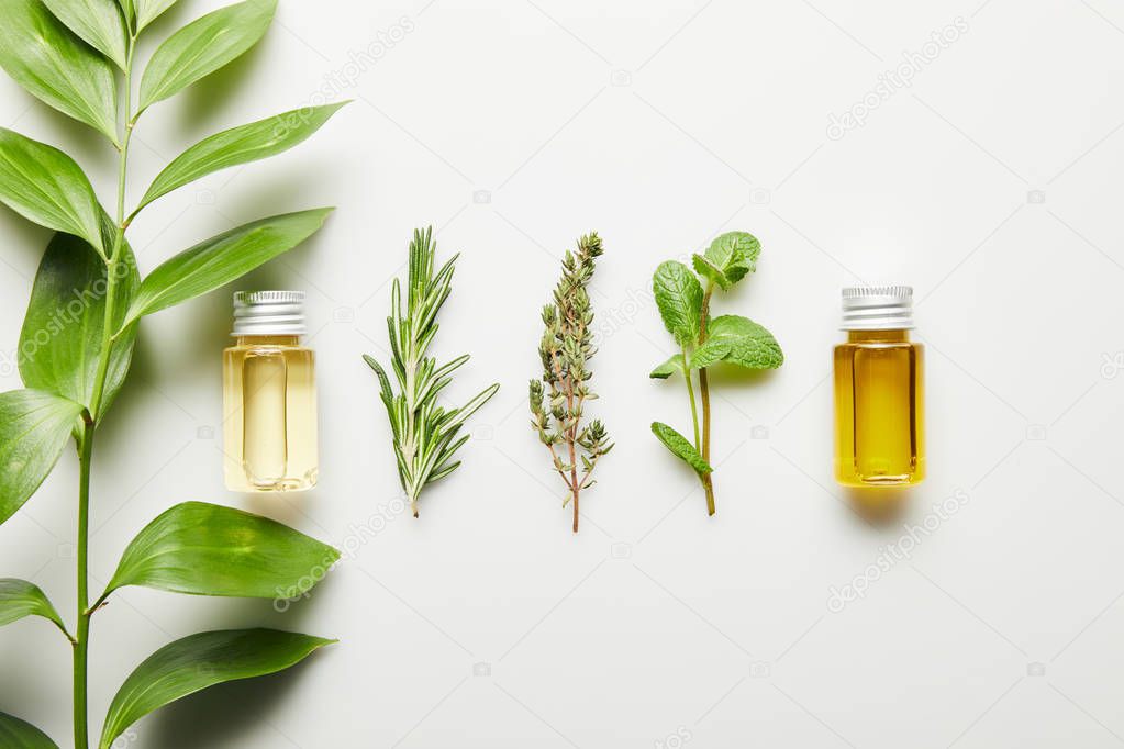 Top view of bottles with essential oil and green herbs on white background